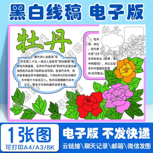 植物牡丹花手抄报模板电子版黑白线稿图a38开4开