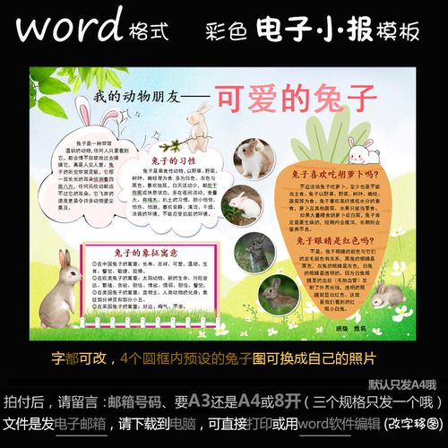 d121电子手抄报word模版小报身边的小动物我的动物朋友小兔子简报