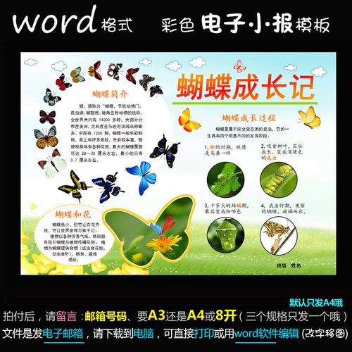 d043电子小报word模版手抄报动物昆虫简报蝴蝶成长记