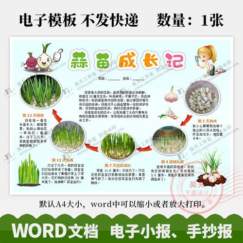 蒜苗植物成长记录手抄报大蒜生长观察日记电子小报word模板wk069