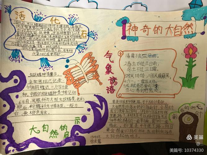 认识自然有所启示天台小学1504班认识大自然手抄报