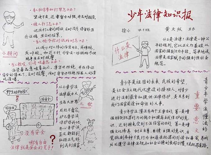 高中依法治校手抄报150字