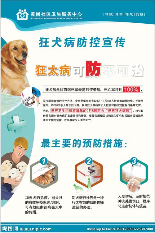 狂犬病防控知识宣传板报 - 我家的国庆手抄报