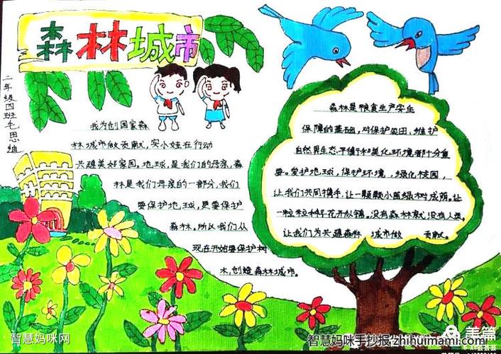 小学六年级创建国家森林城市的手抄报