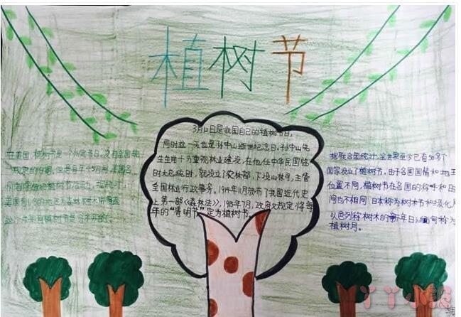 关于小学生植树节手抄报内容与图片一等奖小报