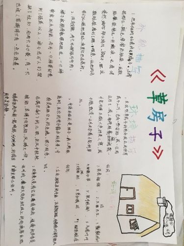 《草房子》优秀手抄报投票前10名