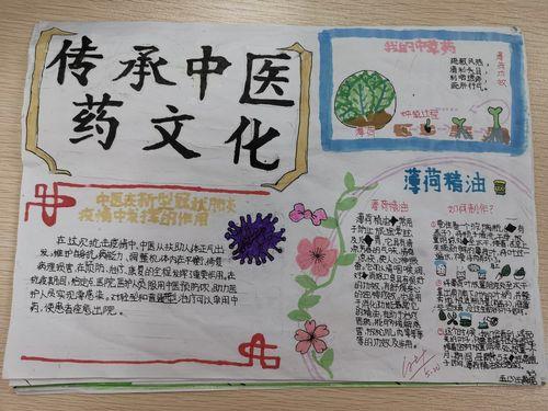 小学生中草药的手抄报小学生手抄报