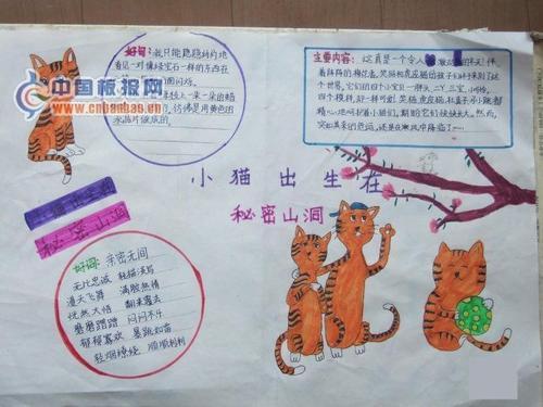 四年级13课猫手抄报四年级手抄报