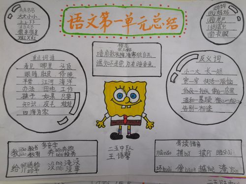 语文知识点总结安阳市钢三路小学二五班制作语文手抄报