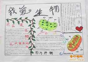 与生物有关的职业的手抄报关于生物的手抄报