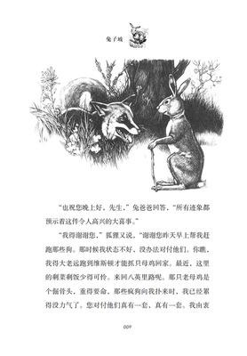 兔子坡简笔画不带字手抄报 关于兔子的手抄报