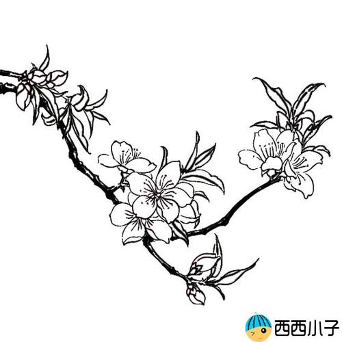 桃花的画法简笔画图片植物简笔画格格手抄报