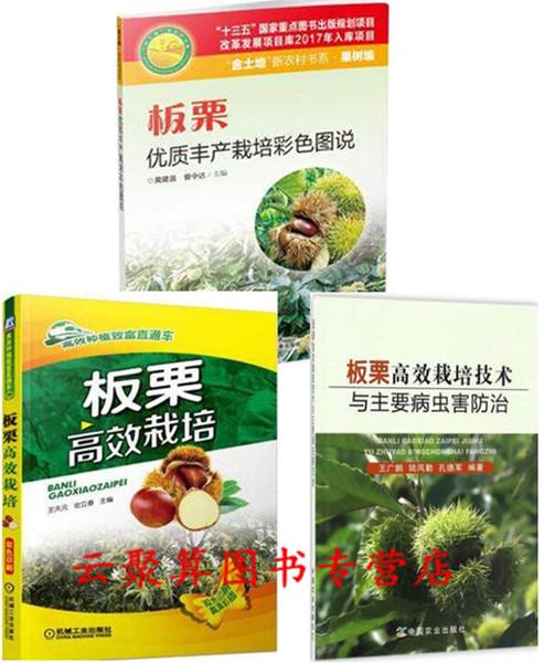 板栗种植技术手抄报 手抄报图片大全集-蒲城教育文学网