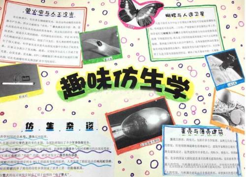 手抄报 正文 仿生学手抄报资料 仿生学是指模仿生物建造