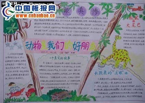 保护动物生物手抄报 保护动物手抄报