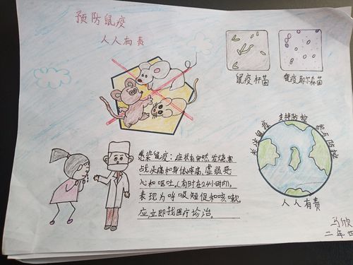 小朋友们根据对鼠疫的认识做的手抄报和绘画.