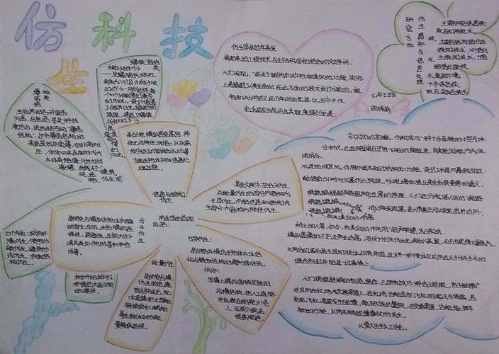 科普手抄报图片大全科普手抄报内容资料小学生科普手抄报大全