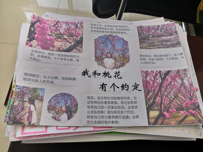 我和桃花有个约会锡市芳草小学二年级优秀手抄报展