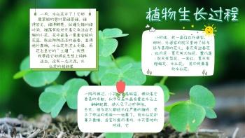 单双子叶植物的手抄报 关于生物的手抄报