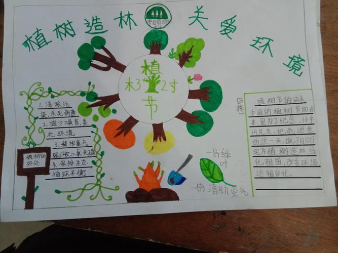 东闾小学六三班植树节手抄报活动