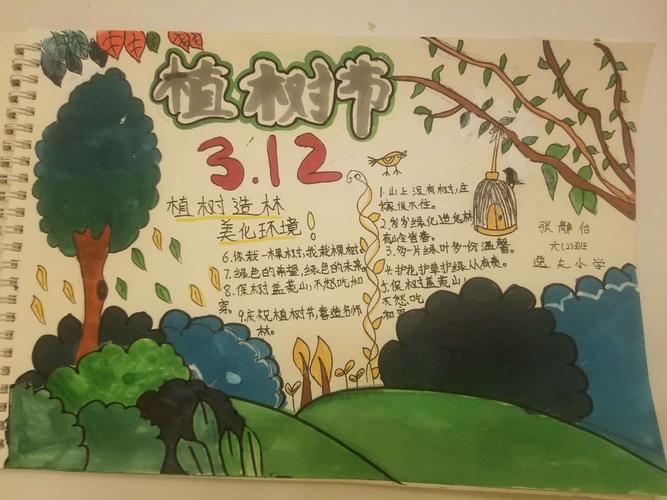 我和小树共成长汝州市逸夫小学植树节手抄报优秀作品展