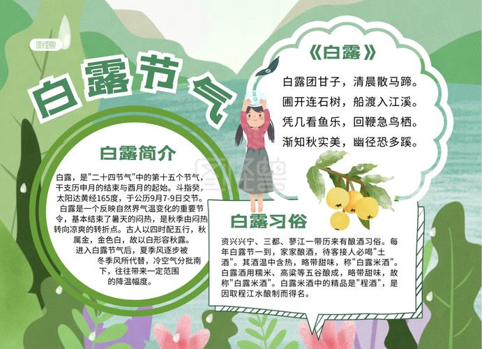 二十四节气白露简约手抄报