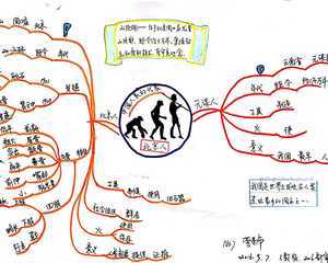 原始人类北京人手抄报 名人手抄报