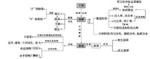 种群与群落的手抄报 手抄报版面设计图