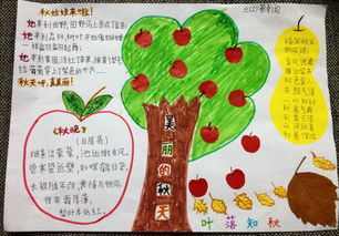 小学生周末休息手抄报小学生手抄报