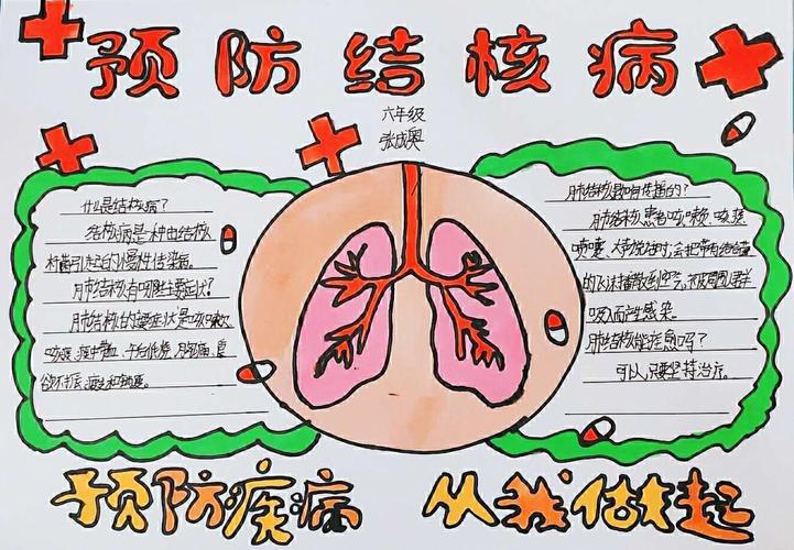 二年级结核病知识宣传手抄报二年级手抄报