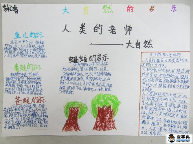 大自然的启示手抄报高清图片大全三小学资讯 - 查字典小学网