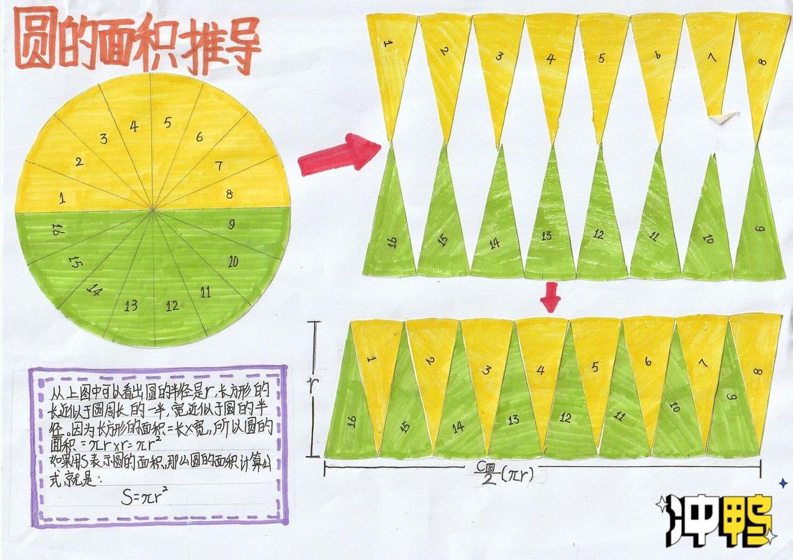 数学手抄报-圆的面积公式推导过程 分享一下学生的手抄报作业98