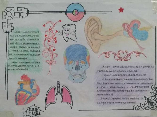 长治卫校学生解剖知识模型制作手抄报墙报展览