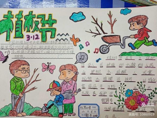 植树节手抄报绘画展刘志丹红军小学二年级5班