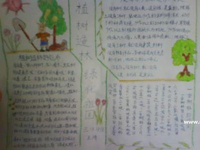 诗情画意校园花草手抄报 校园手抄报