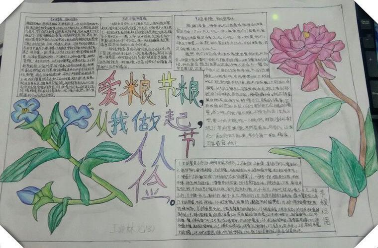 文江中学开展 爱粮节粮从我做起手抄报教育活动