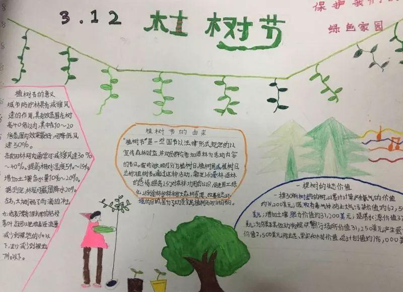 含内容的小学生植树节手抄报简单又漂亮老师布置的作业不用愁