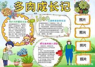 绿植种养感悟生命手抄报读书感悟手抄报