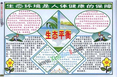 生物生态系统食物链手抄报 食物手抄报-蒲城教育文学网