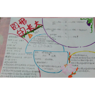 关于荔枝的数学手抄报 有趣的数学手抄报