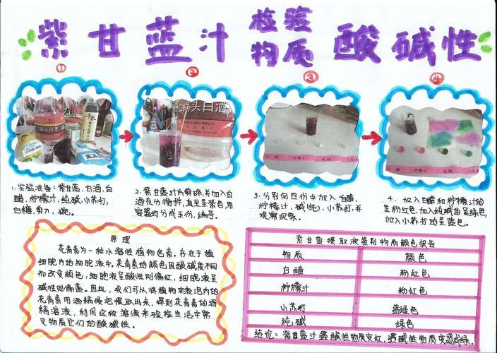 科技作业一 用紫甘蓝汁检验物质酸碱性制作手抄报要求有原理实验