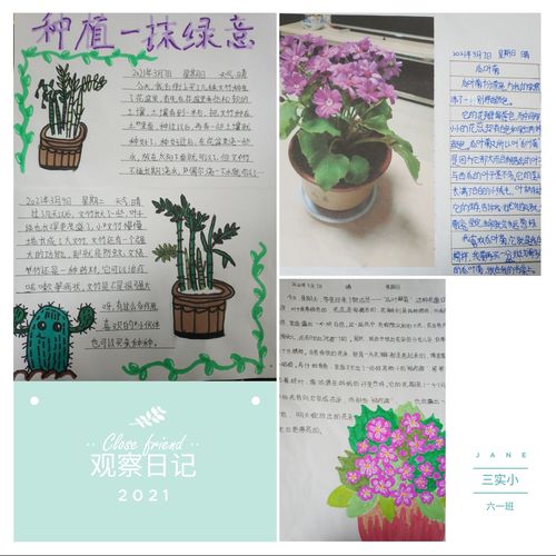 一份份以植树节为主题的手抄报