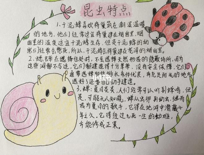 《昆虫记》手抄报画画文化阅读