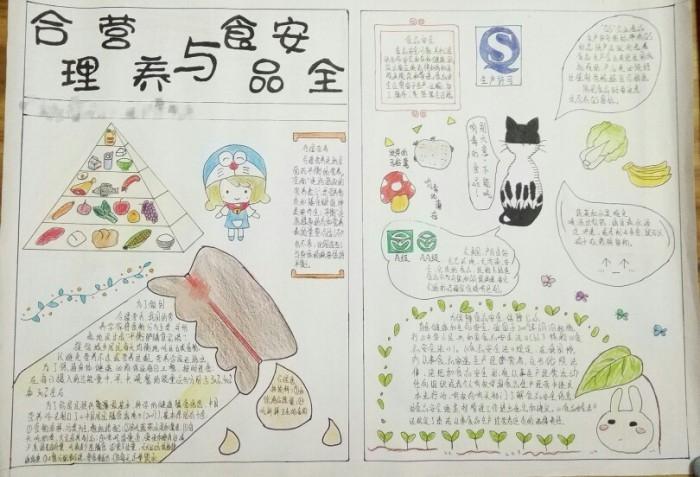 合理营养与食品安全生物手抄报