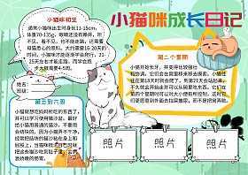 观察小猫日记手抄报数学日记手抄报