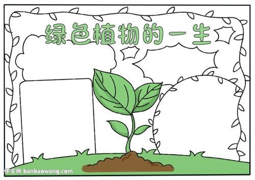 三年级科学植物的一生手抄报 三年级科学手抄报