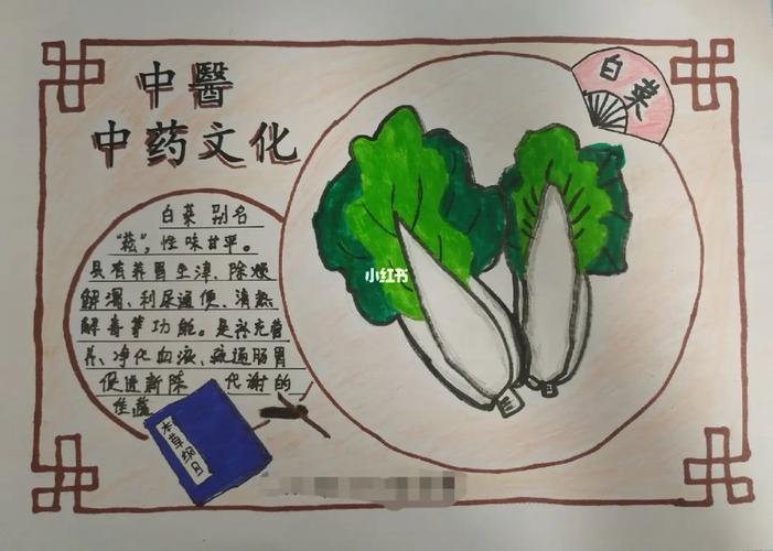 一年级中草药手抄报