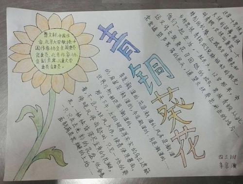 《青铜葵花》手抄报实小四三班展示