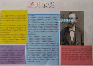 科学家诺贝尔手抄报 数学家手抄报