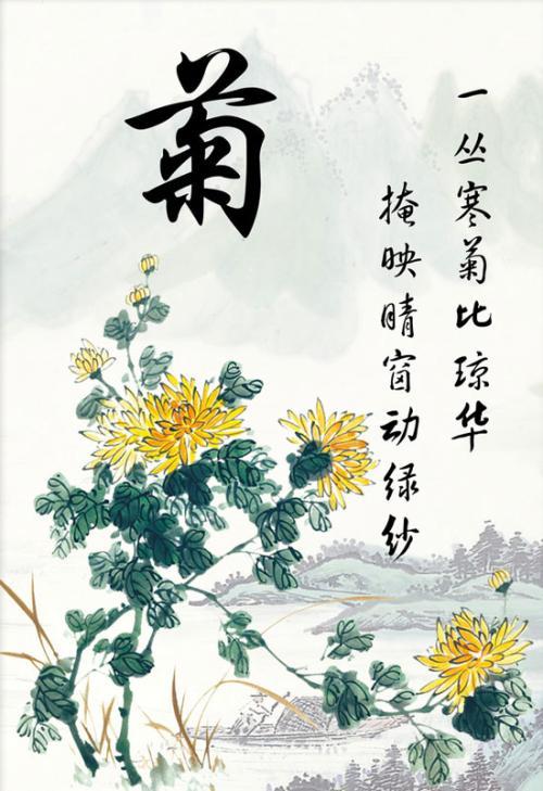 关于菊花的诗句菊花手抄报 花的手抄报